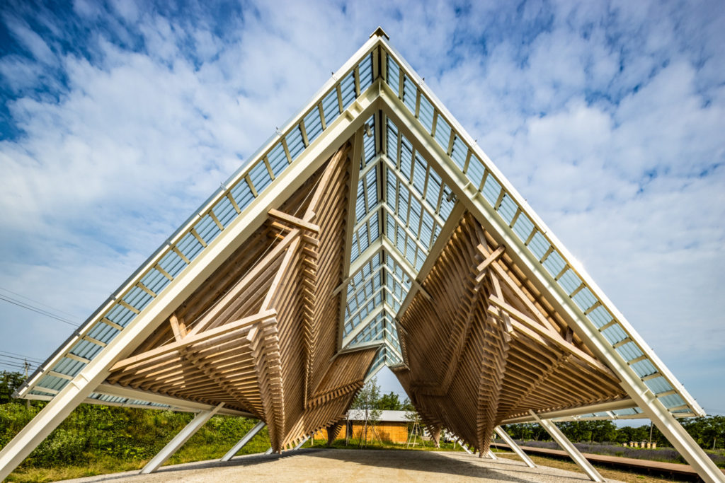 Healthian Wood [Phase-1] | ©︎ Kawasumi-Kobayashi Kenji Photograph Office