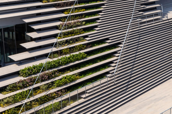 Science Tokyo Hisao & Hiroko Taki Plaza (©Kawasumi・Kobayashi Kenji Photograph Office) Science Tokyo Hisao & Hiroko Taki Plaza (©Kawasumi・Kobayashi Kenji Photograph Office)