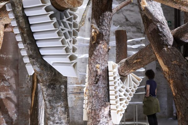 Domino 3.0 / Generated Living Structure (©Nils Koenning)