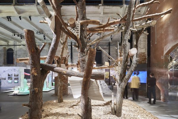 Domino 3.0 / Generated Living Structure (©Nils Koenning)