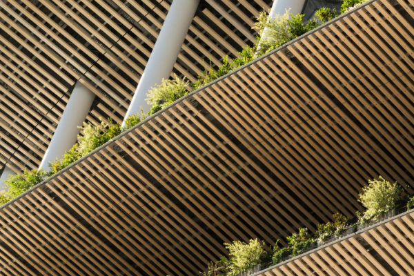 Japan National Stadium (©大成建設・梓設計・隈研吾建築都市設計事務所共同企業体提供)