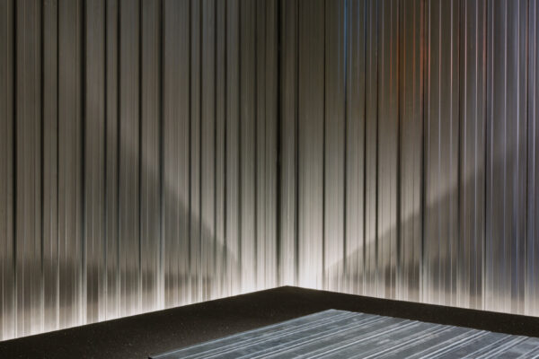 Harakado Talking Gorilla (© Keishin Horikoshi / SS)