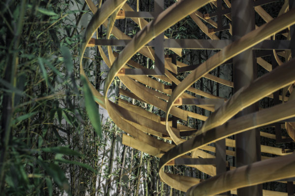 Bamboo Flow (© ︎Zhu Yumeng)