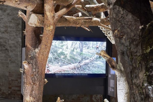 Domino 3.0 / Generated Living Structure (©Nils Koenning)