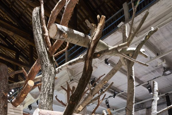 Domino 3.0 / Generated Living Structure (©Nils Koenning)