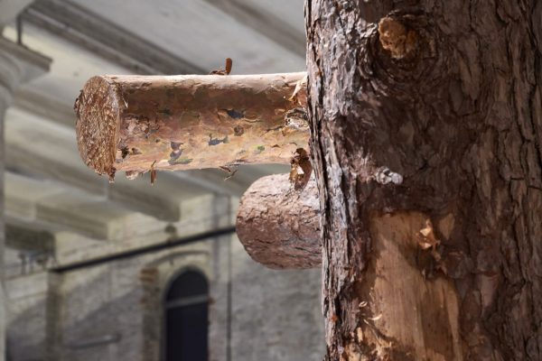 Domino 3.0 / Generated Living Structure (©Nils Koenning)