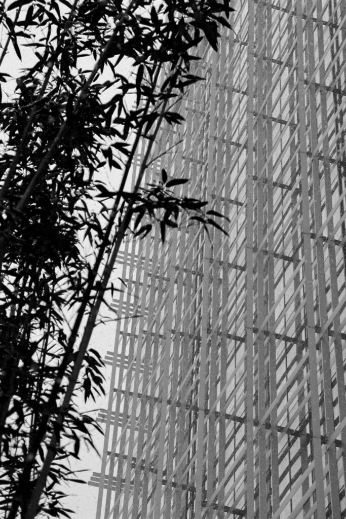 Hyatt Centric Gaoxin Xi’an | © Hyatt Centric Gaoxin Xi’an