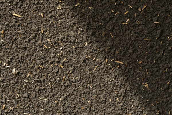 Expo 2025 EARTH MART (@katsumasa Tanaka) Expo 2025 EARTH MART (@katsumasa Tanaka)