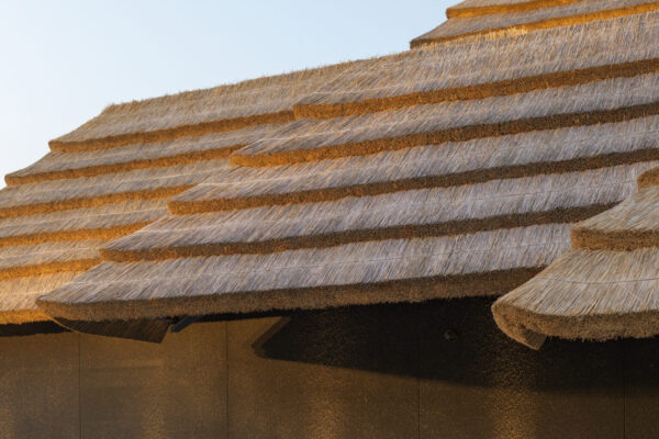 Expo 2025 EARTH MART (@katsumasa Tanaka) Expo 2025 EARTH MART (@katsumasa Tanaka)