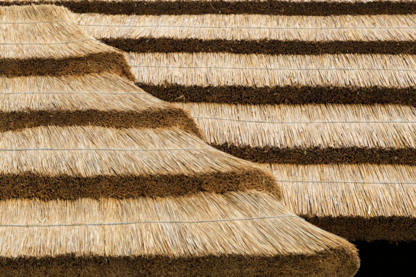 Expo 2025 EARTH MART (@katsumasa Tanaka) Expo 2025 EARTH MART (@katsumasa Tanaka)