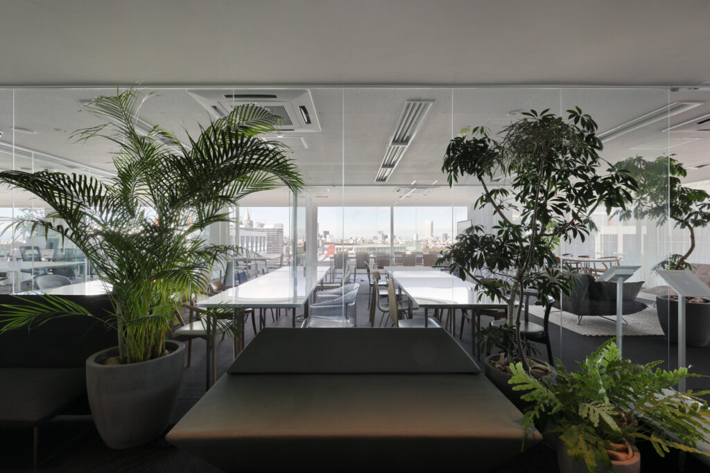 KKAA Tokyo Office Renovation | © Kai Nakamura