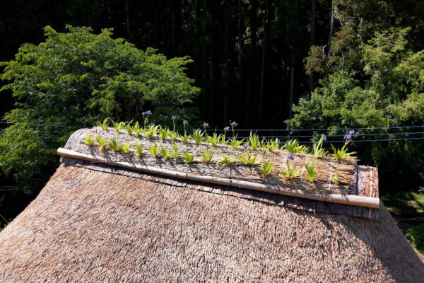 Media – Nippon TV “Tokoro-san no Me ga Ten!” – Kagaku no Sato / Main House Project (©NTV)