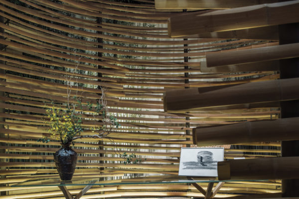 Bamboo Flow (© ︎Zhu Yumeng)