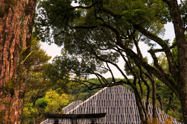 Aoi Aso Shrine / National Treasure Memorial Hall (© Masaki Hamada (kkpo)) Aoi Aso Shrine / National Treasure Memorial Hall (© Masaki Hamada (kkpo))