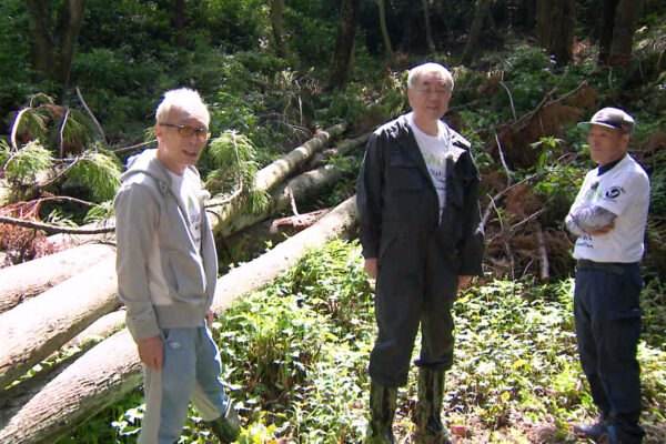 Tokoto-san no Me ga Ten | © Nippon TV Service