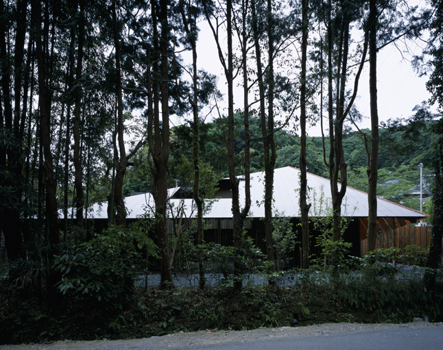 Bamboo / Fiber | © Mitsumasa Fujitsuka