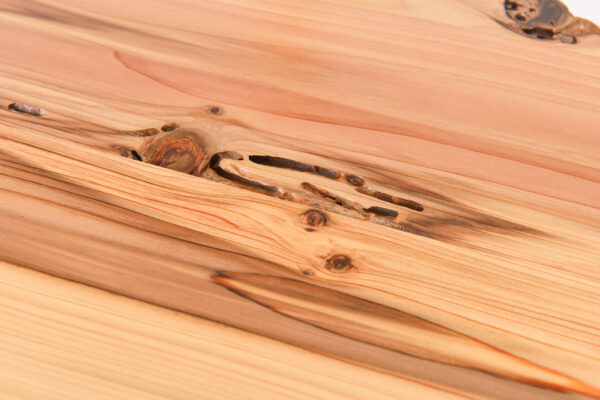 Akane (© ESTORAGE CO.,Ltd.)