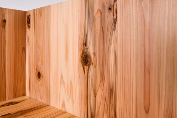 Akane (© ESTORAGE CO.,Ltd.)