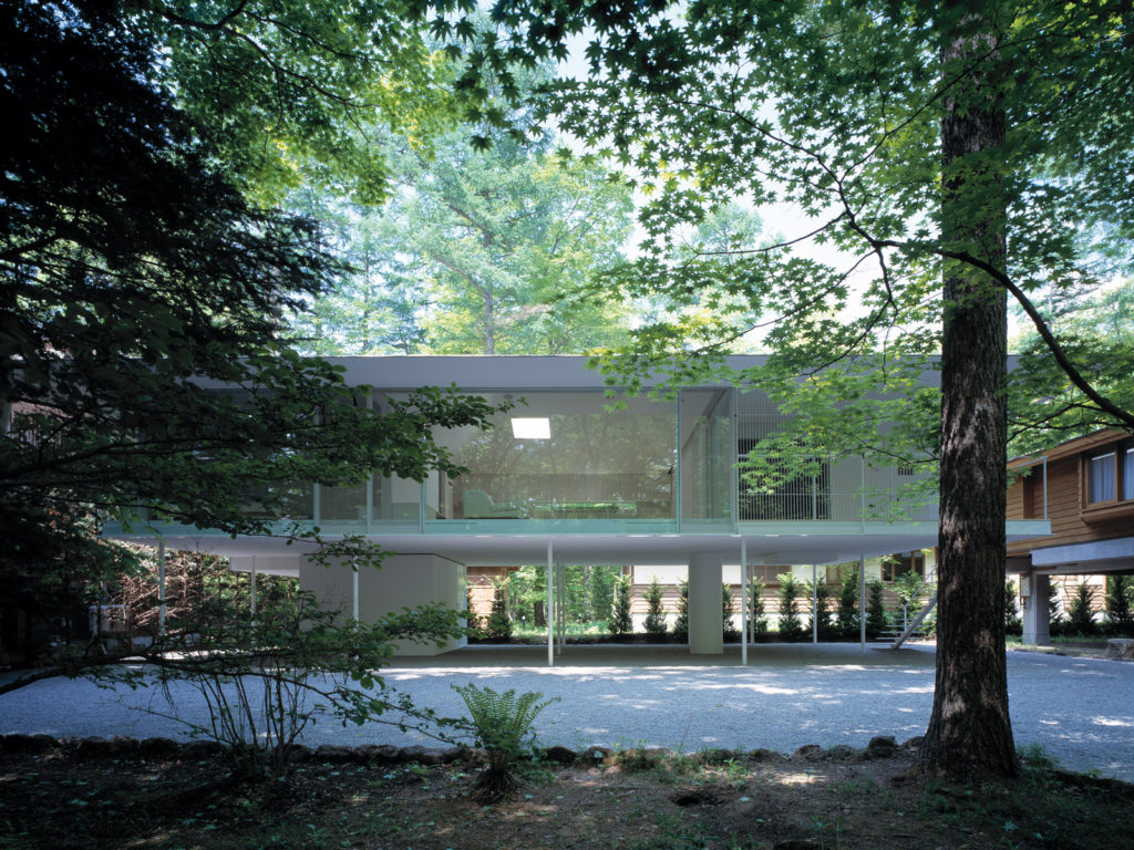 Forest / Floor | ©Daici Ano