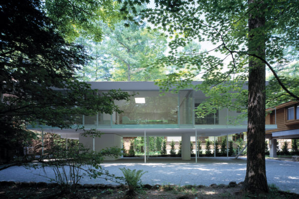 Forest / Floor | ©Daici Ano