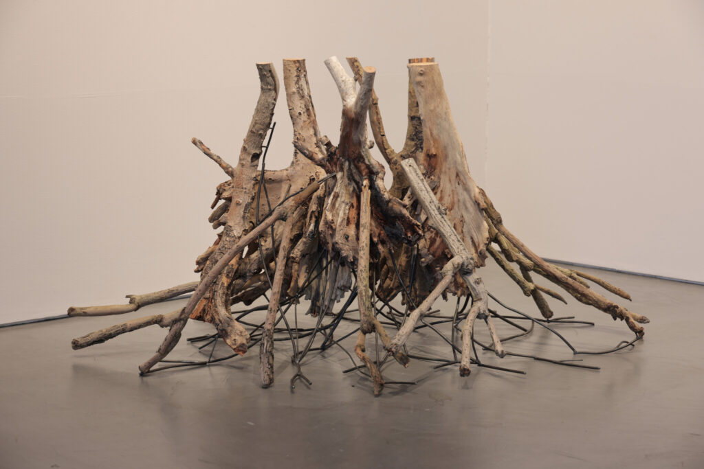 Juju | © Kazuhiko Miyazawa