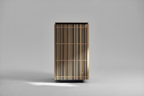 SHARP Plasmacluster Air Purifier  (© SHARP)