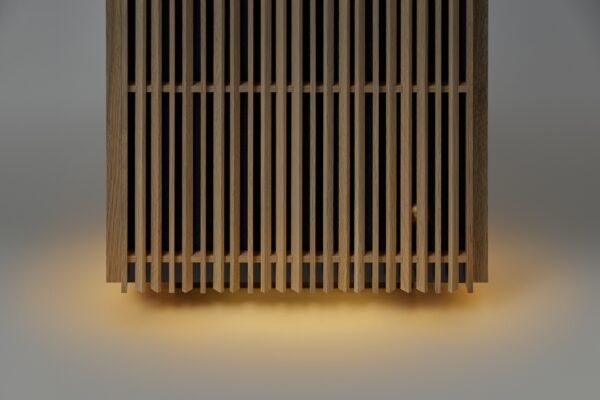 SHARP Plasmacluster Air Purifier  (© SHARP)