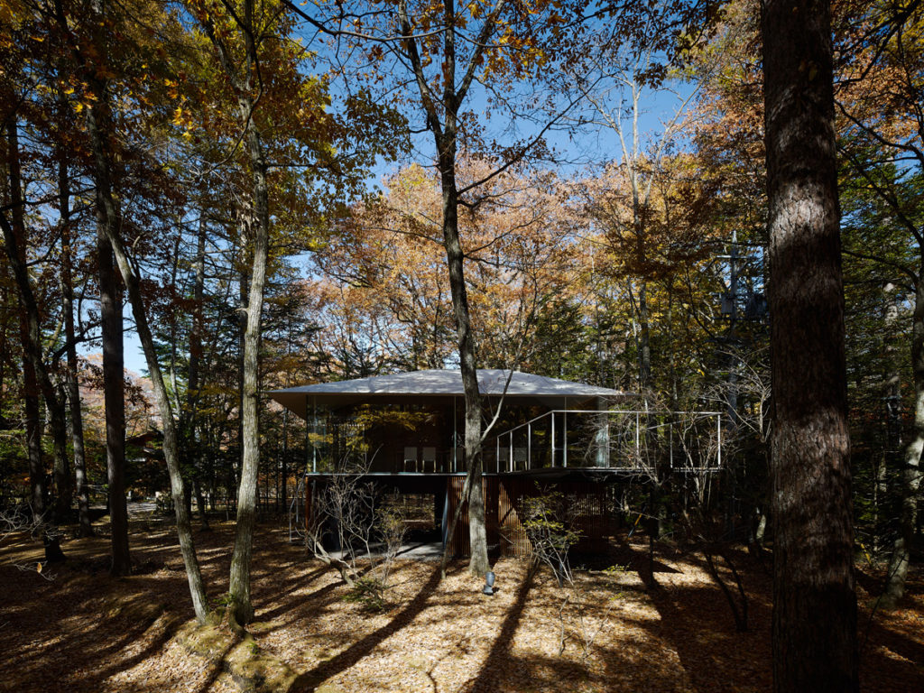 Extend to forest | ©Daici Ano