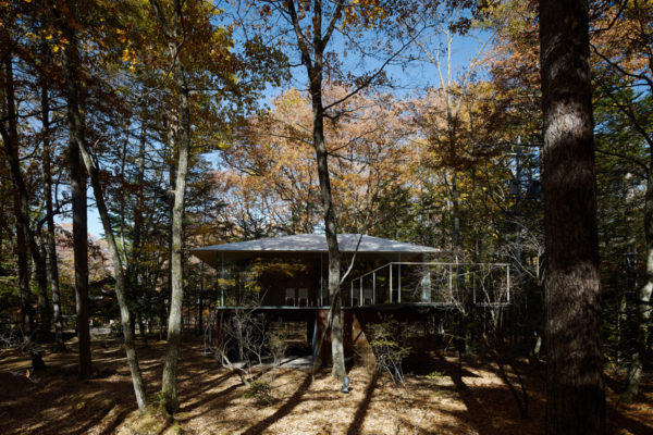 Extend to forest | ©Daici Ano