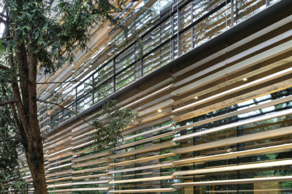 Albert Kahn Museum (© Michel Denance) Albert Kahn Museum (© Michel Denance)