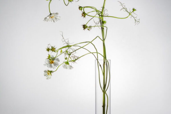 Kvetna Glassware – HAOTO (© Kvetna)