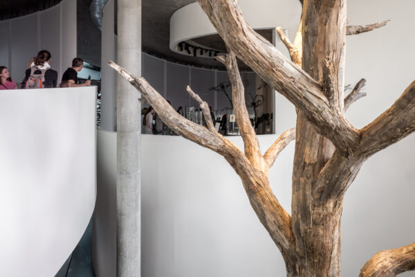 New Hans Christian Andersen Museum (© Rasmus Hjortshøj - COAST)