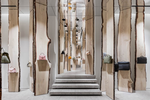 The Forest | © SDL studio